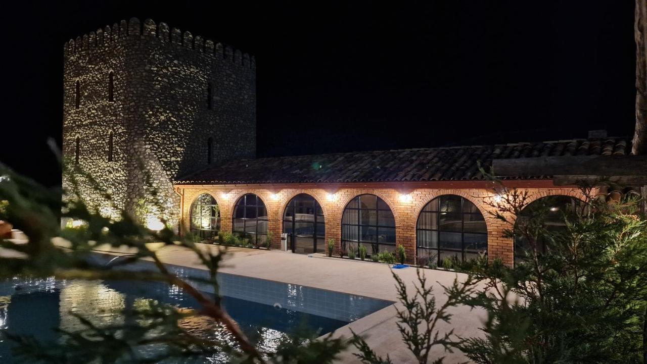 Giorgi Ushikishvilis Chateau-Marani Akhmeta Ngoại thất bức ảnh