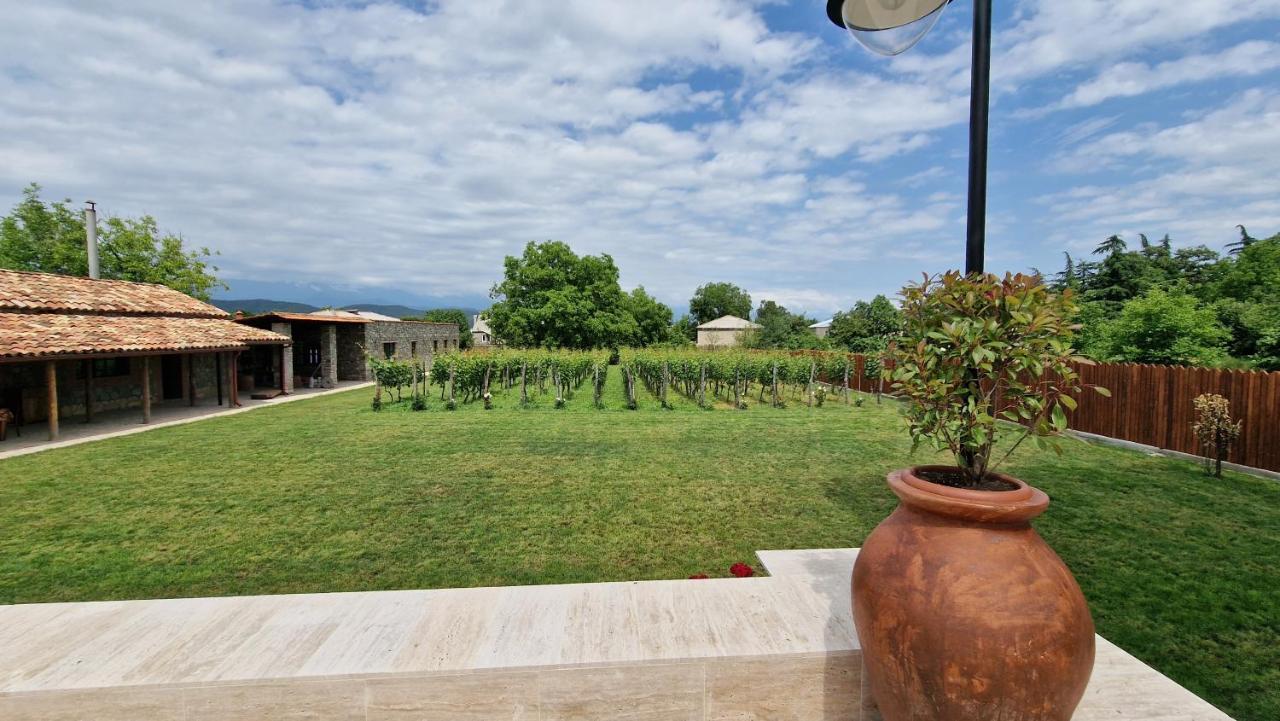 Giorgi Ushikishvilis Chateau-Marani Akhmeta Ngoại thất bức ảnh