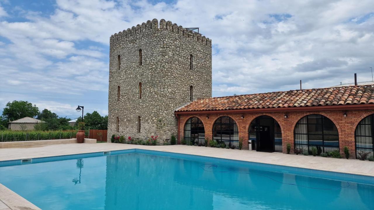 Giorgi Ushikishvilis Chateau-Marani Akhmeta Ngoại thất bức ảnh