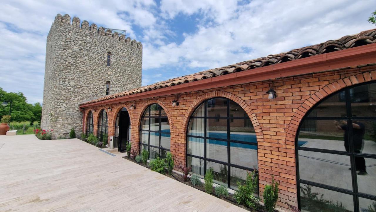Giorgi Ushikishvilis Chateau-Marani Akhmeta Ngoại thất bức ảnh