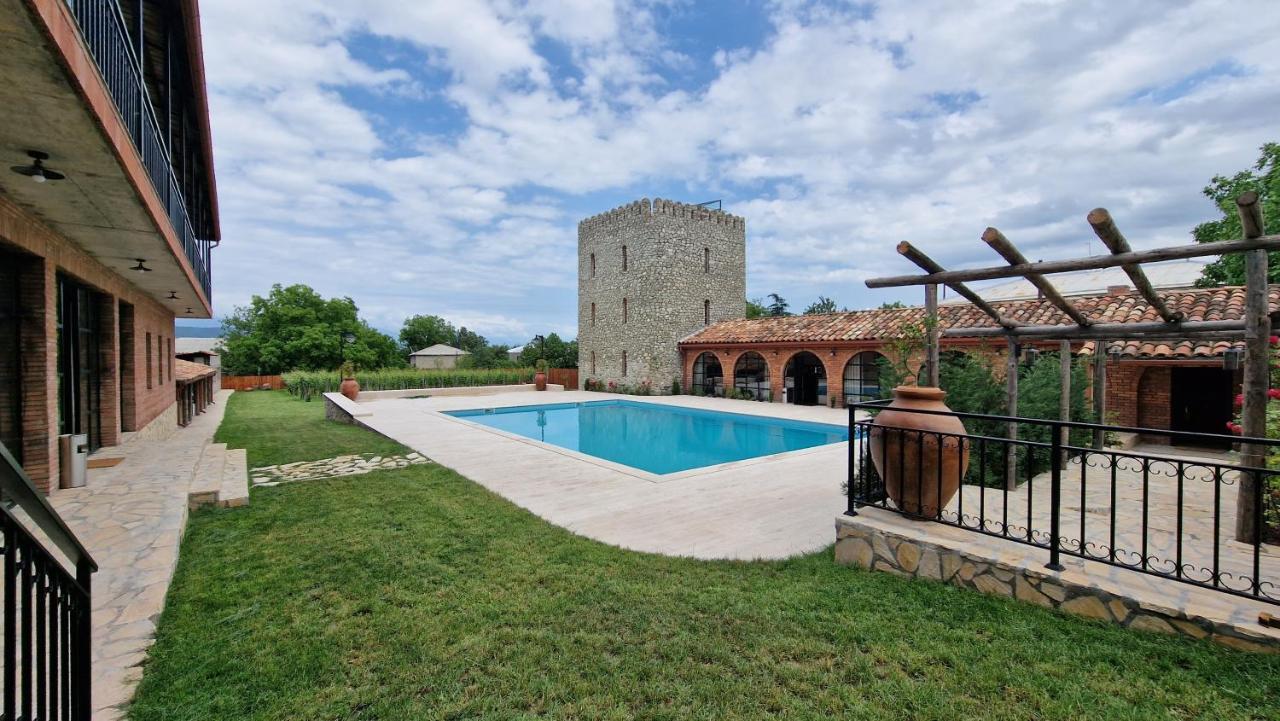 Giorgi Ushikishvilis Chateau-Marani Akhmeta Ngoại thất bức ảnh
